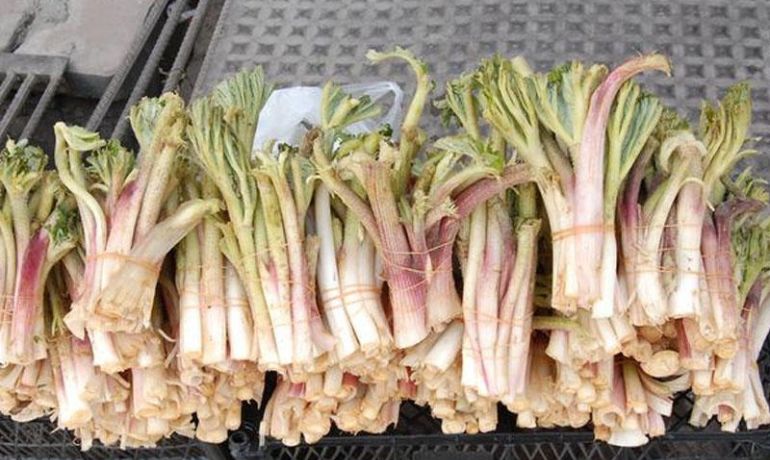 Fərdi uçot sistemində hesabı olanların sayı artıb