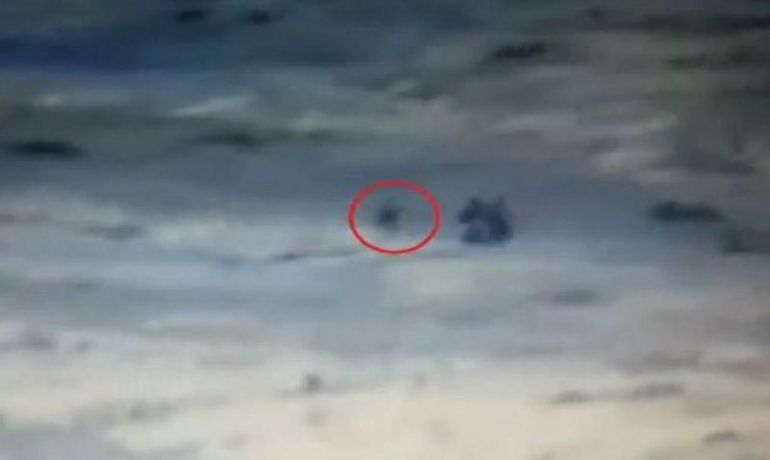 Düşmənin təxribat qrupunun üzvü sərrast atəşlə məh