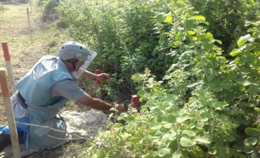 Cocuq Mərcanlıda 859 ədəd qəlpə tapıldı