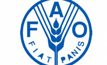 FAO-dan Azərbaycana DƏSTƏK