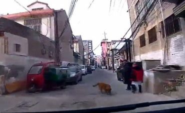 Xalqtv