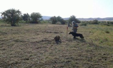 Cocuq Mərcanlıda əməliyyatlar ayın sonuna kimi yek